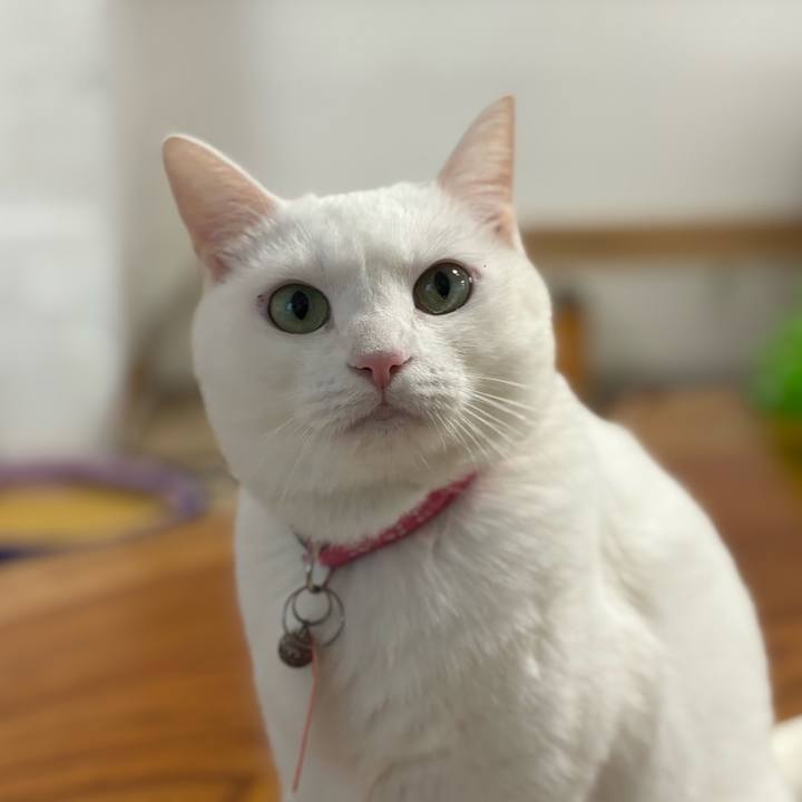 5dab535c c1fb 4257 b8f7 2ddfbcae3b57 1766924112701