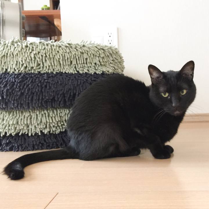 5dab9109 c82b 4477 bef6 bd5771f00059 1555807315761