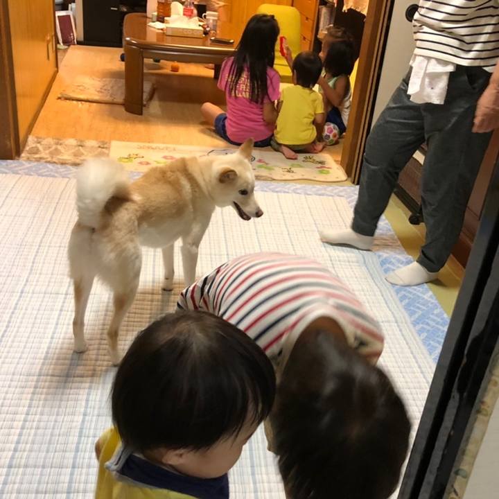 5dab9150 cf94 4e58 812d c14bcb48ee14 1628507623559