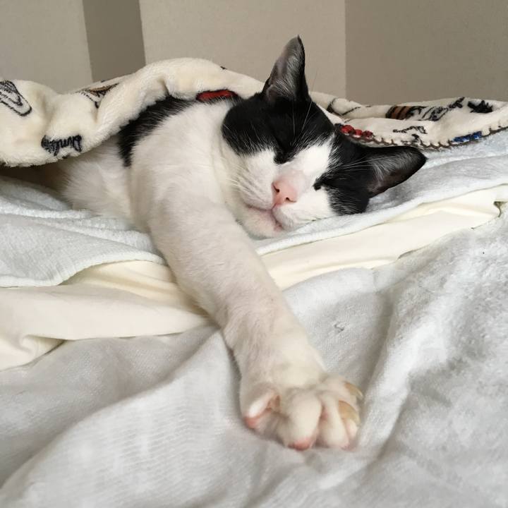 5dab9acd b840 4c2a 9e85 f8a230c008e1 1510362572330