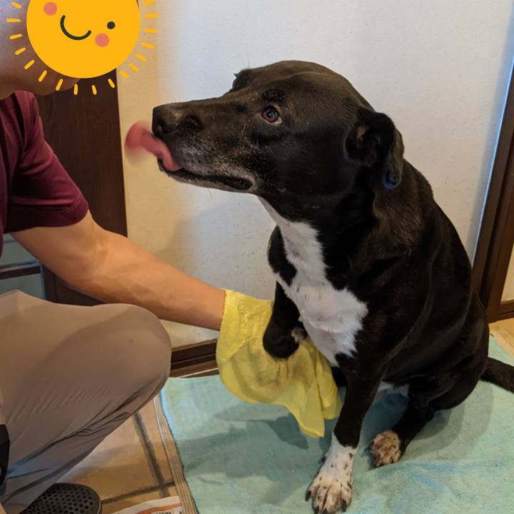 5daba96f 2c87 47f9 8e88 78fa515efc35 1691021420729