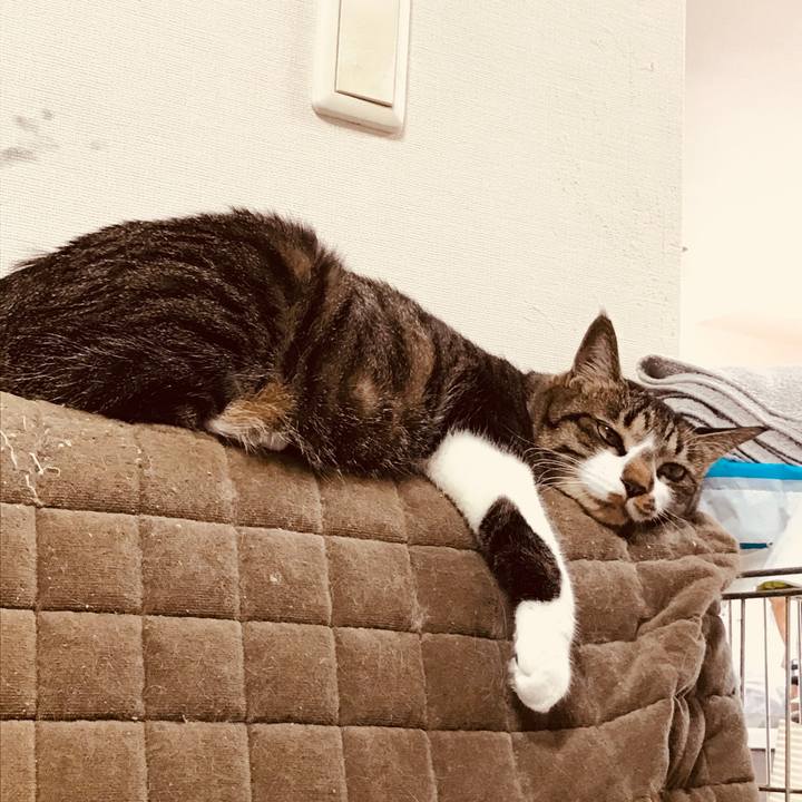 5dabaf0d 806a 4ffd a051 a4ebaef0bcf4 1524546323661