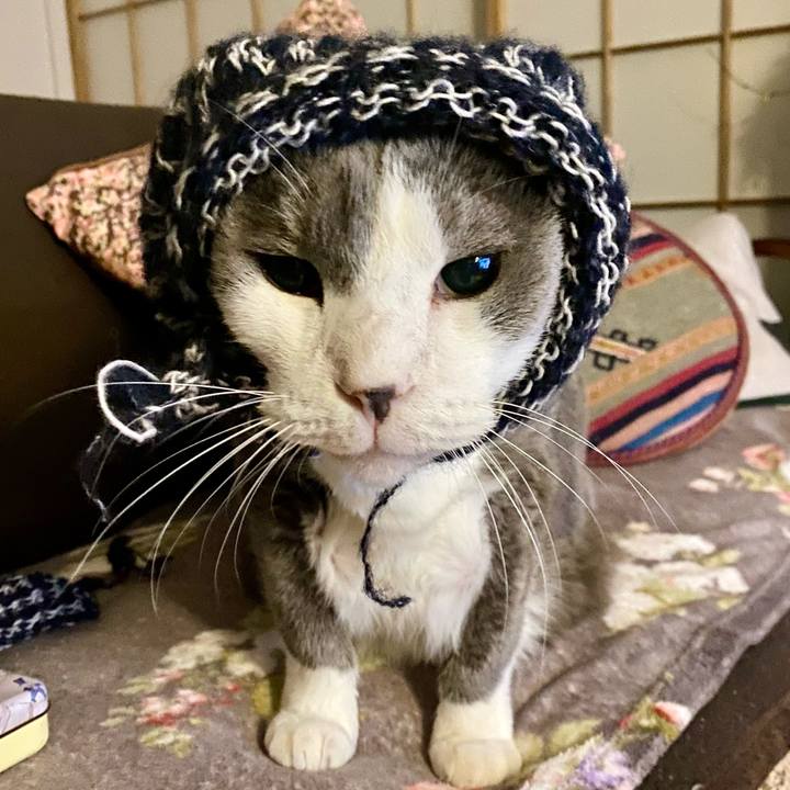 5dabccdf 605c 416d a7ae 464f5815561e 1767535232111