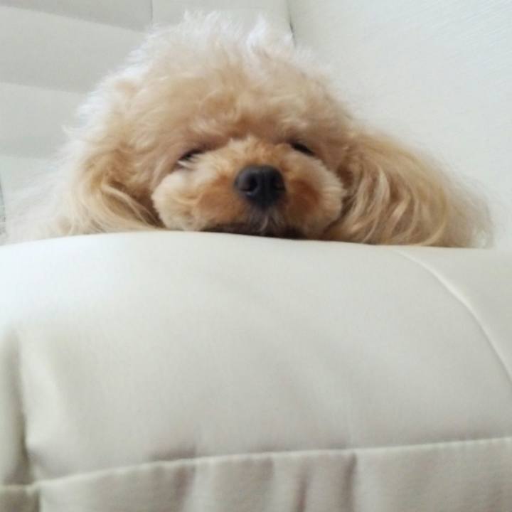 5dac3b14 2963 46fa a36c f568f942b94b 1532264018051