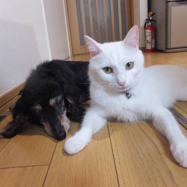 5daca733 4e2f 4411 b1e1 98cf520c0b11 1631757418767