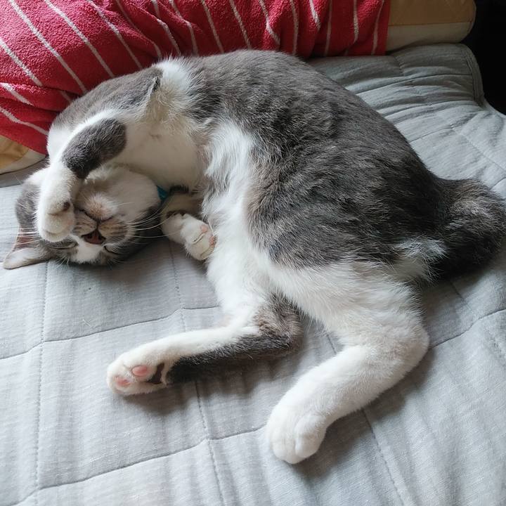 5daca734 f544 427f 894d 265983435e89 1589853858800