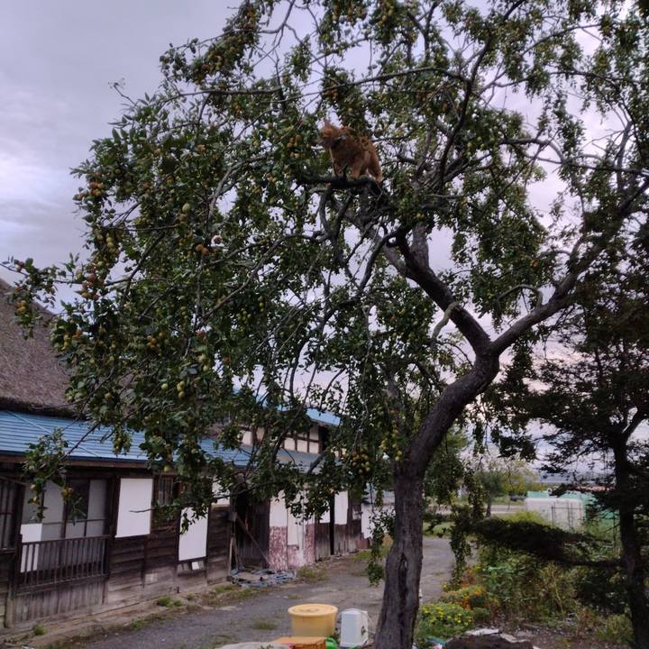 5dad6e37 d9ac 4342 b30c 495432136a3d 1695335830005