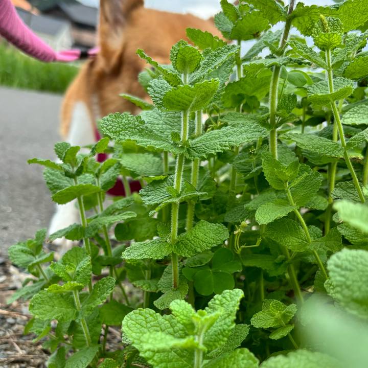 5dad7d9b dc5d 4e13 87a8 b2a474dcaa6e 1727923709065