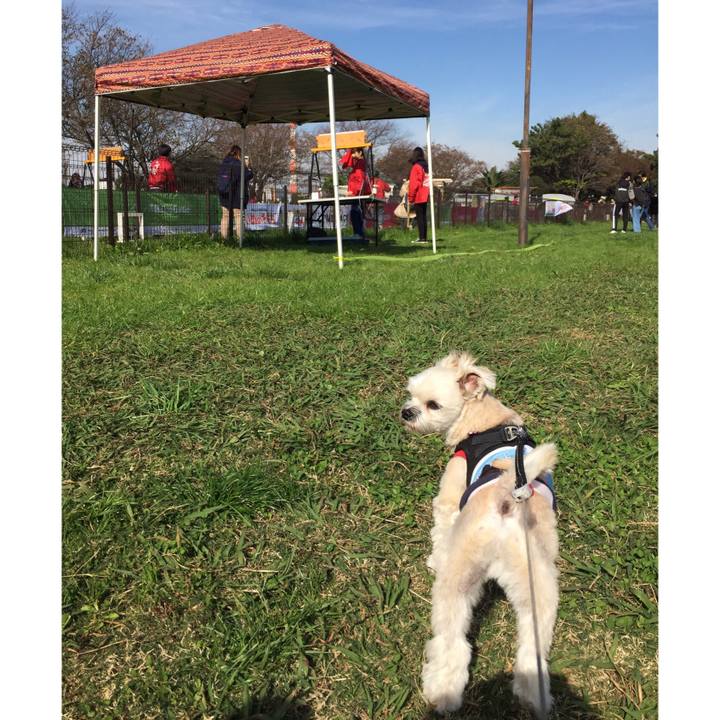 5dada86f 87c0 404c aaad debf4dc3ff23 1542448954591