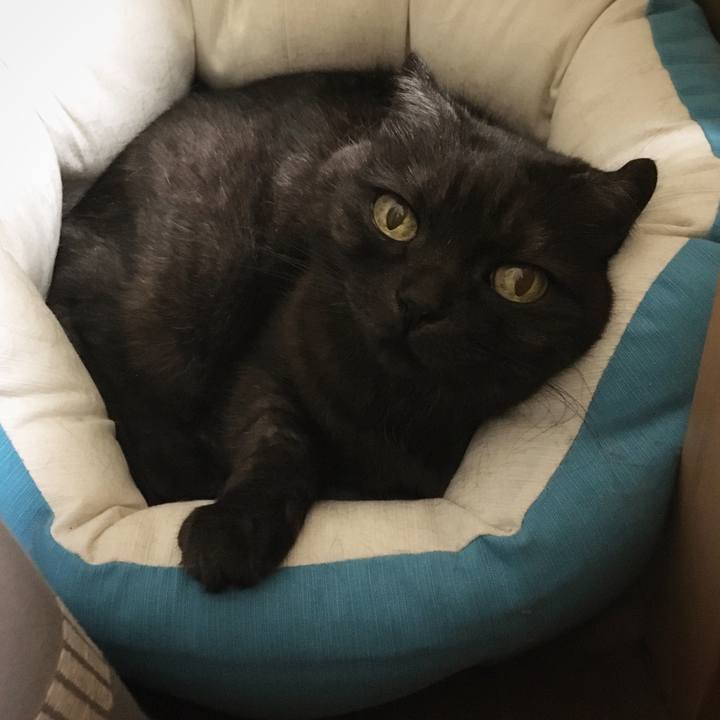 5dadd786 19ab 4cae 88e9 4aa3d73cc1e7 1557502331949