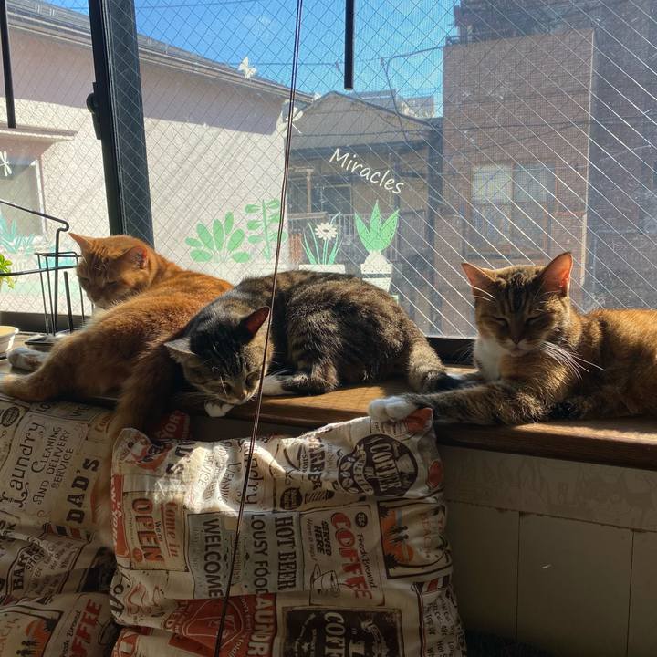 5dadda34 9ef2 46a0 a079 957e7a66808d 1636517166376