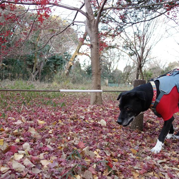 5dadfb55 06e6 45af 813a adb42bb8f534 1735085595336