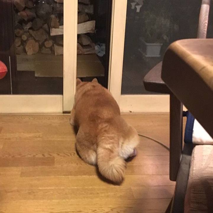 5dae21b0 cfba 478c a914 8655bcf0aefa 1538559197999