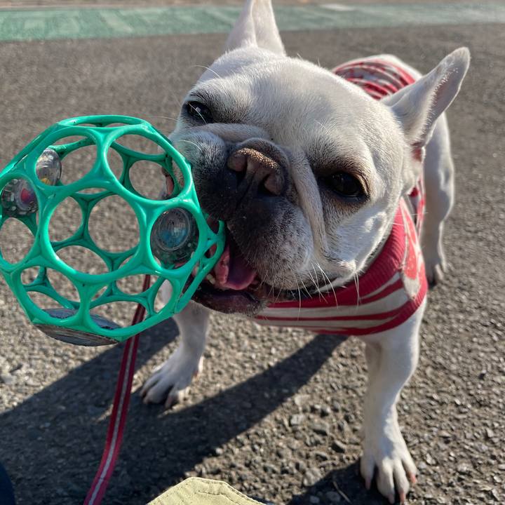 5dae33a4 edcb 4053 932a 985a7b755932 1739230361774