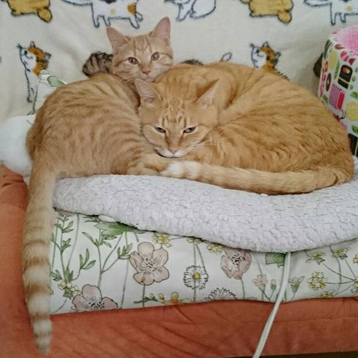 5dae5c9a 2bd6 43d8 b1aa efdbf46cbf00 1544146932257