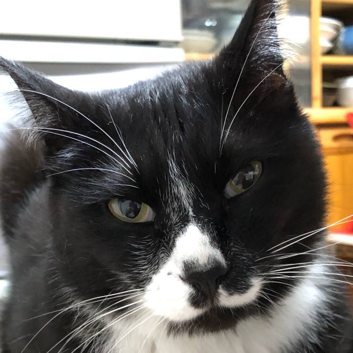 5dae7cd5 80f2 4b89 af45 612049d39e7e 1624080309405