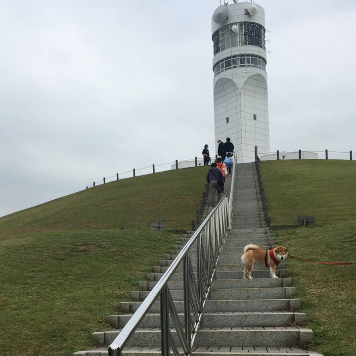 5daec51d 5691 4046 8754 0242c1e501b1 1604376410084