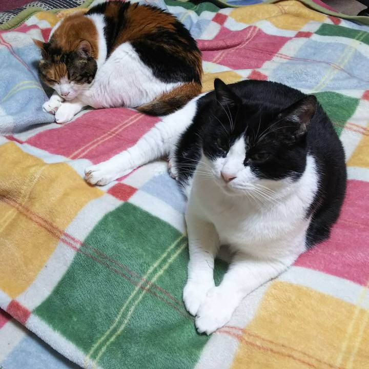 5daefb89 18b1 4989 89d7 74cef6c32f00 1540935963735