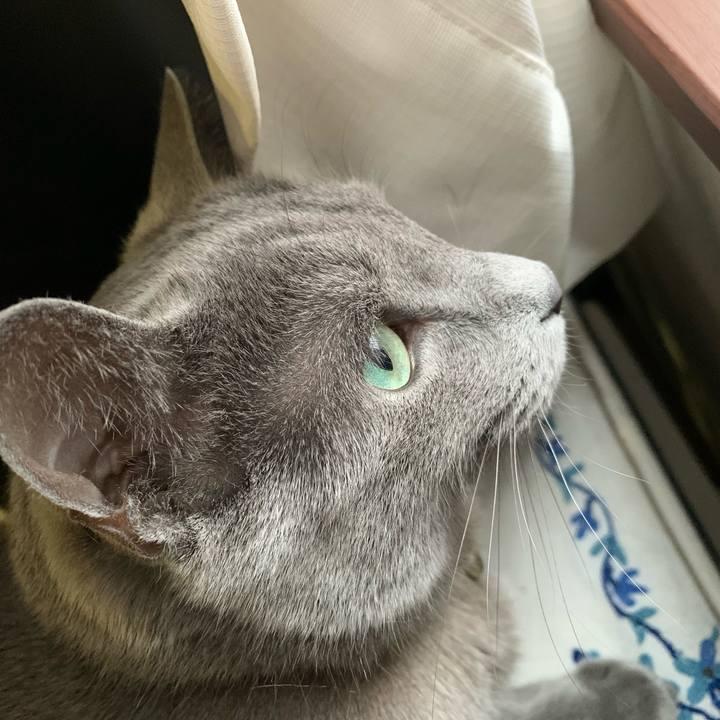 5daf29ea cbae 4eac af1a e9c16b6ea29b 1644705066920