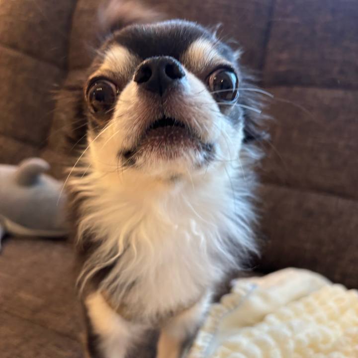 5daf6ed9 b640 471d a47c 87bfd9e7d055 1727106566003