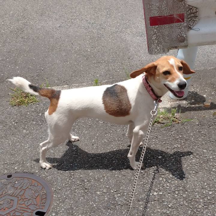 5dafe072 dead 4578 b88b 89febd97f7ae 1593139905302