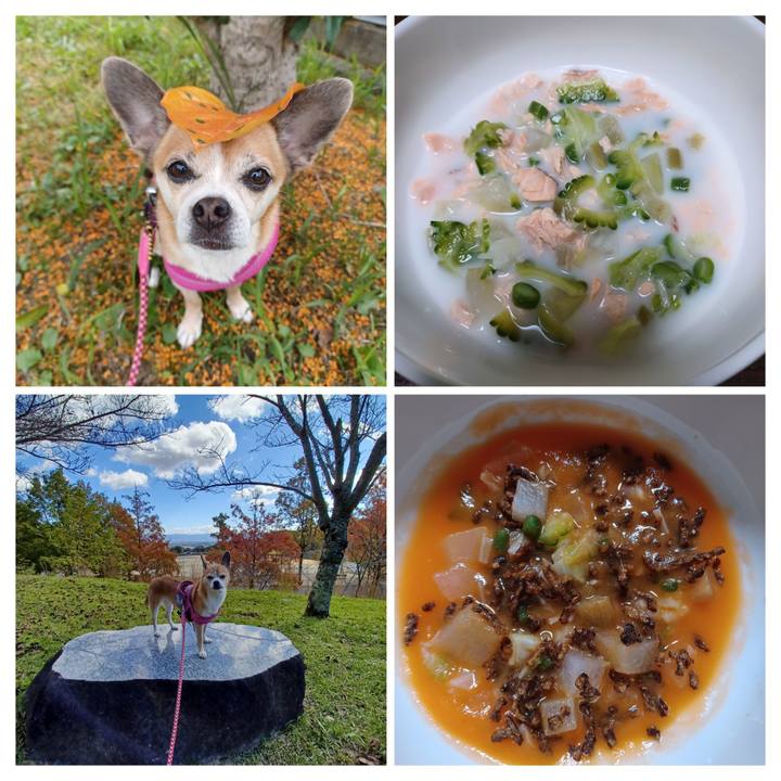 5dafe59e 2a49 4ceb 9703 6611e22bbc13 1698016302215