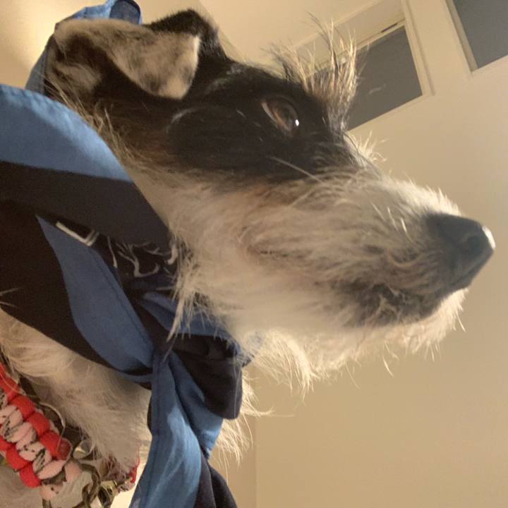 5db003fd 280b 4974 a638 363d510e1fa8 1557837080615