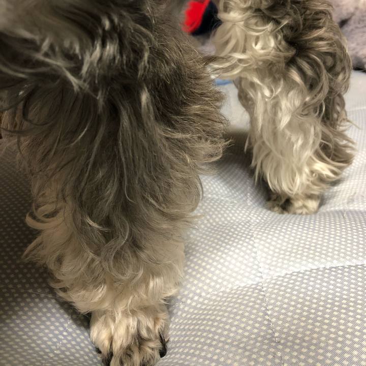 5db0276f 628c 4253 8f64 a79a2ce47582 1634731280400