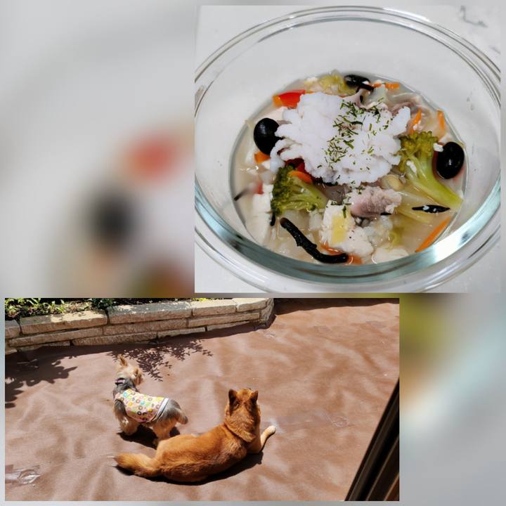 5db029ee 4e70 4049 bb4c 5a7d58ec2960 1653315675763