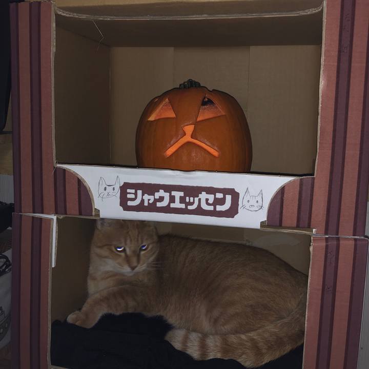 5db03048 7c10 4725 a377 cdd4165d3e28 1603756912417