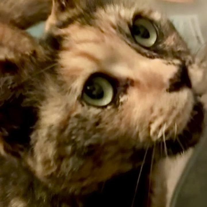 5db054f6 5ca7 4a71 a11e ef7a9ad8608f 1745352440153