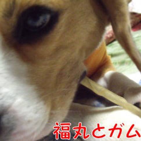 5db06c2c 4760 4fbe 8a20 2f6127fc4d51 1721686957194