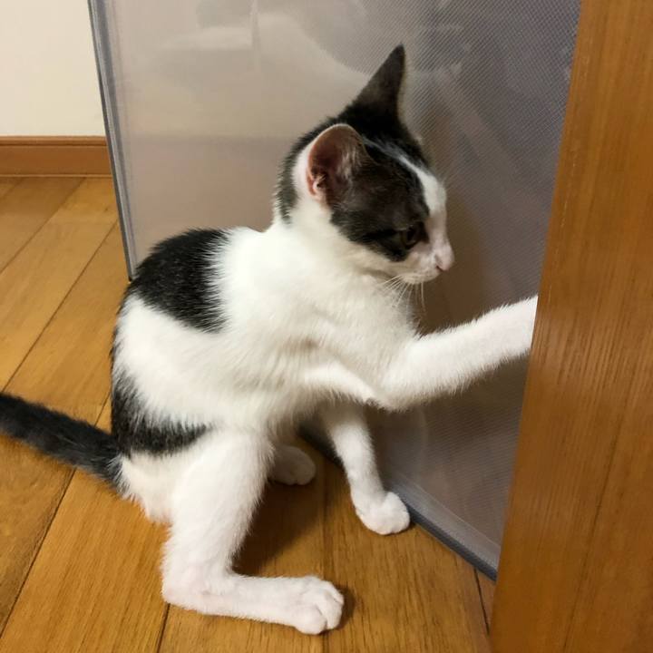 5db07317 d145 4602 accc e99171e5fb15 1566908995465