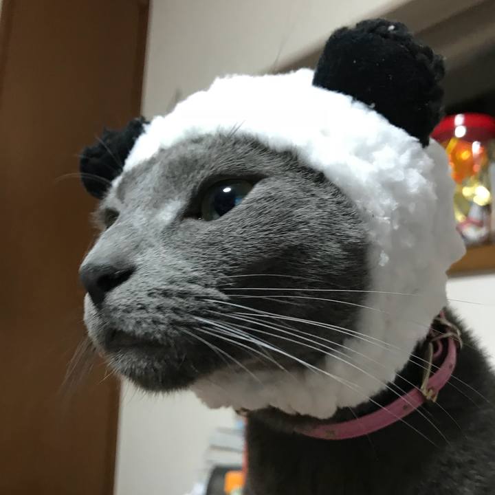 5db073d1 88a4 4757 bd41 ba00b2b52556 1513693991054