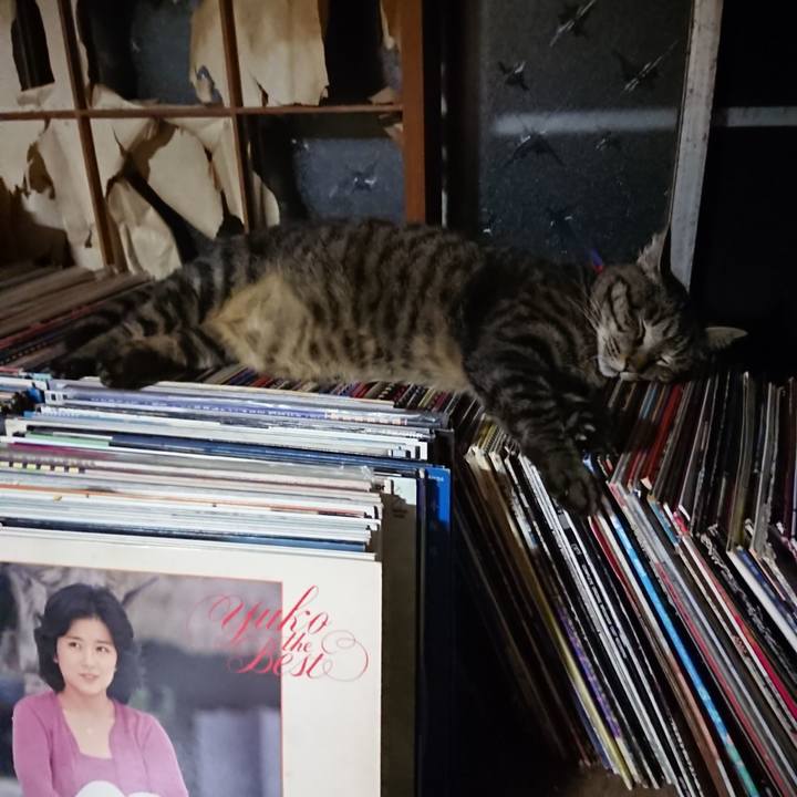 5db0b9aa e8fa 4915 bc2e 8fdc936a6efb 1656254715295