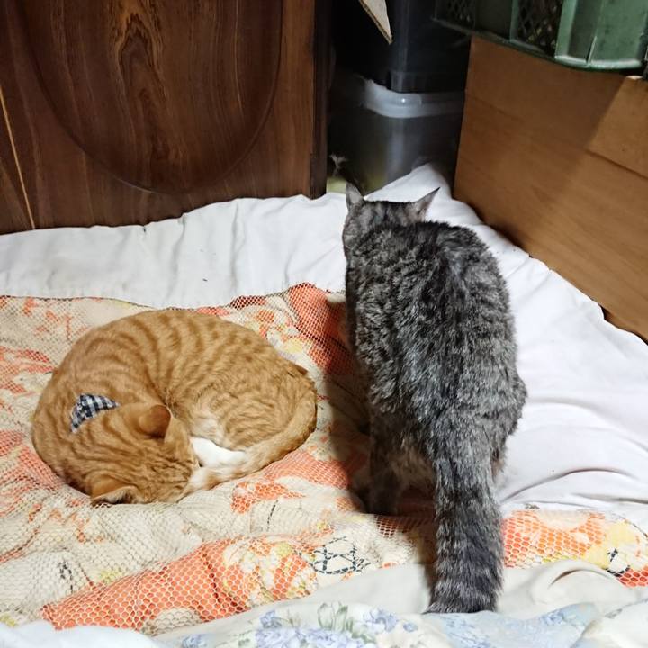 5db0d08d a314 4e48 9757 3eed35f3f673 1573648142681