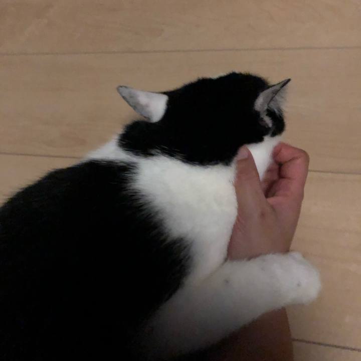 5db0eaed af4a 4ef3 8979 63ce0a2c835f 1594379238722