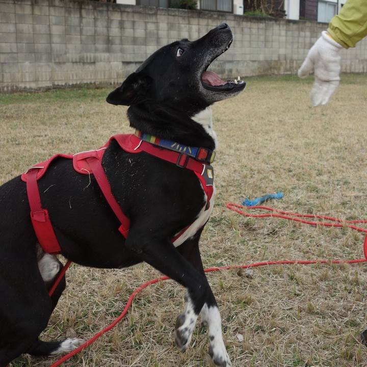 5db10e26 eab3 4215 98e7 10c5c1eb4fb2 1678756128308