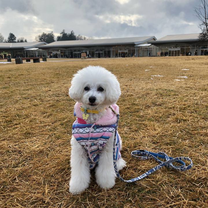 5db11239 d548 47e5 983f 5085f144c722 1577841471011