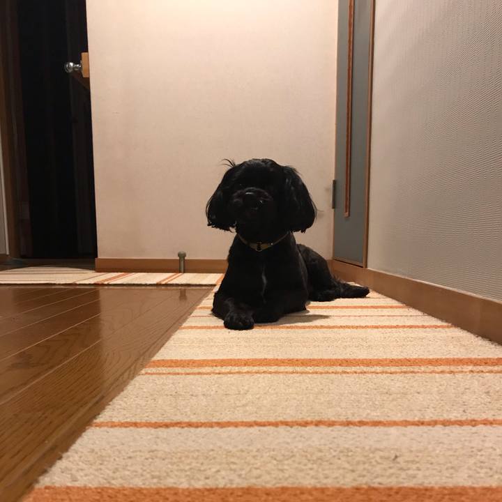 5db12eec fd6c 4ba5 8971 895fdd2d9259 1562736647975