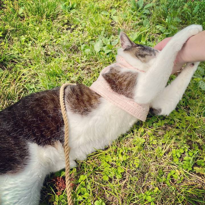 5db13246 c54e 4dce aa29 bdeafdba5683 1623405405367