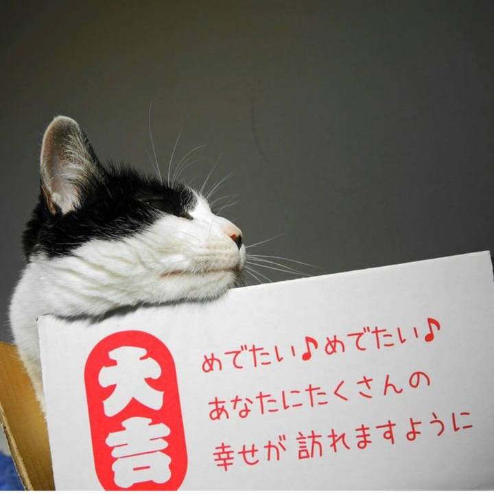 5db163bd 26a2 4242 bb57 bf5d5367e87f 1767353368414