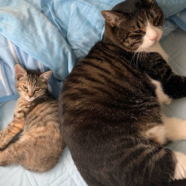 5db176df 3021 49d0 9449 5145fd3afdc2 1592146200398