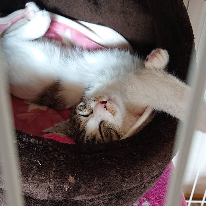 5db199ee 1af3 48a9 8b15 48943dae043f 1547177713421