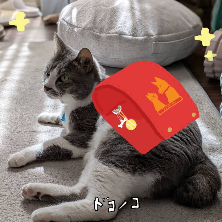 5db1a06b c507 4988 b7db 4f44a5a3552d 1744257298389