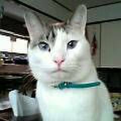 5db1af1d 53ec 4bc5 bd64 5f6519f7b9c0 1522235644093