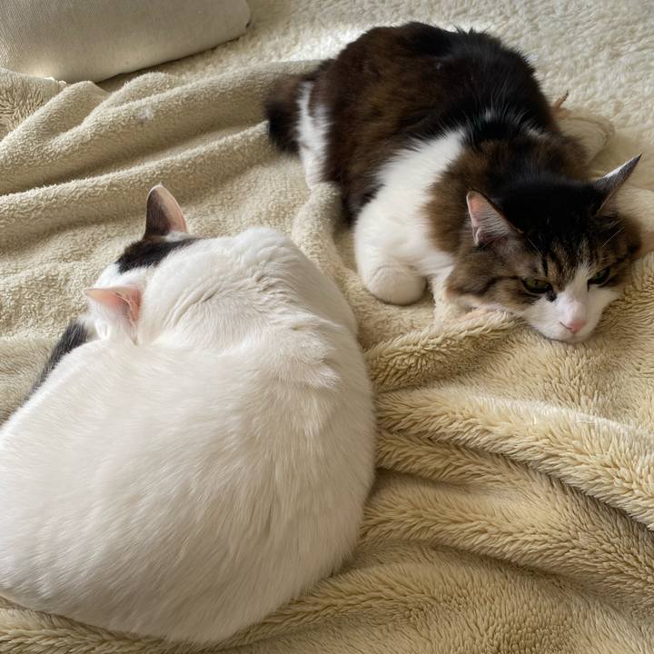 5db1b610 0d1a 46fa 8122 fb41edfd11a7 1738223988767