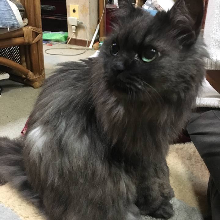 5db1c7a9 bad4 4935 9a92 4f01e2dfcd54 1562394668016