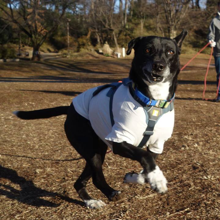 5db1e441 9385 419d 8c96 b636601aaf74 1706491207138