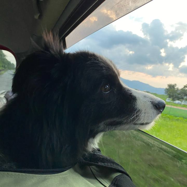 5db1f055 4d72 41f8 9705 a0b249c25761 1596277483380